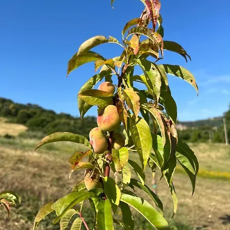 Podere Vista Villa *
