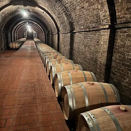 Podere Vista 皮亚诺堡